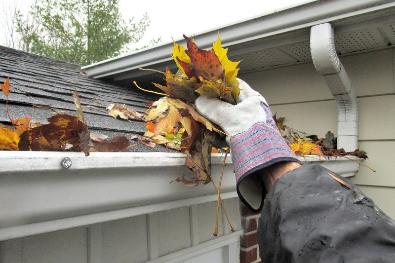 Downspout Maintenance