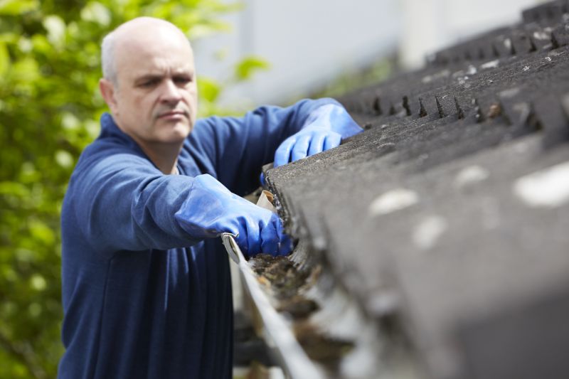 Clean Gutters with Gutter Brushes