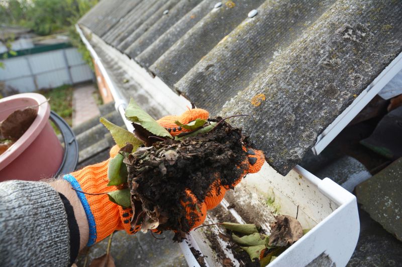 Roof Gutter Cleaning