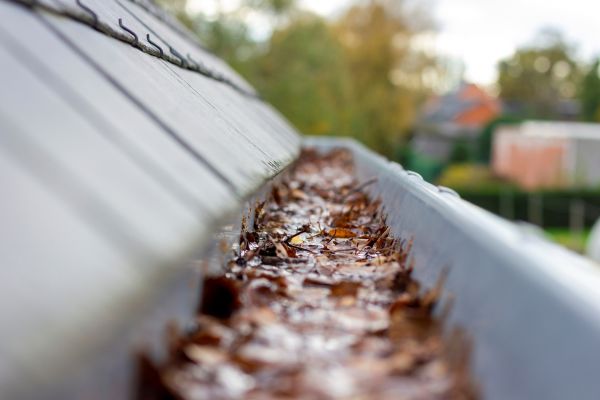 Commercial Gutter Cleaning in Carson City