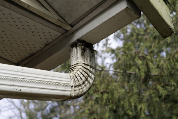 Downspout Cleaning in Carson City