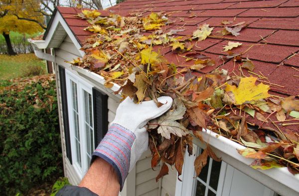 Rain Gutter Cleaning Service in Carson City