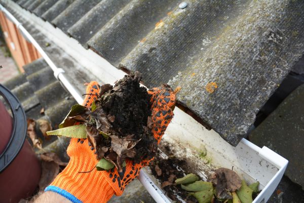 Cost of Seamless Gutter Cleaning in Carson City
