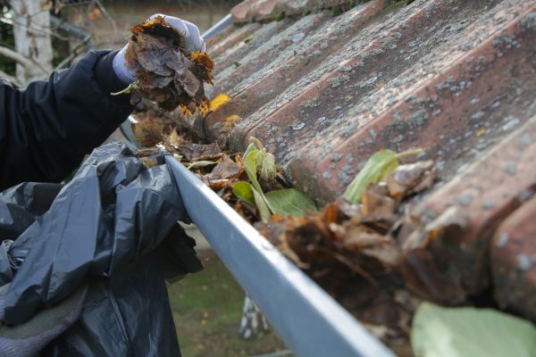 Commercial Gutter Unclogging in Carson City