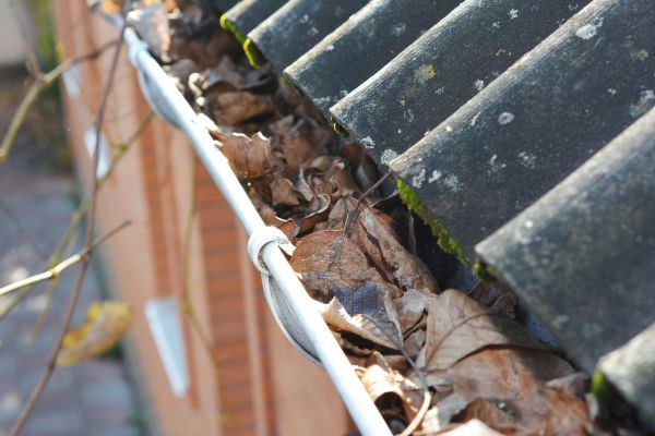 Cost of Home Gutter Cleaning in Carson City