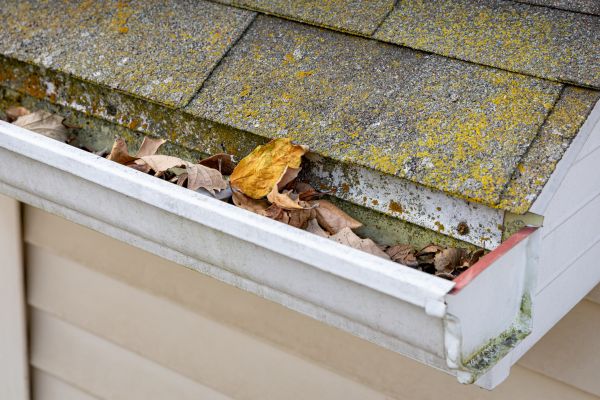 Garage Gutter Cleaning in Carson City