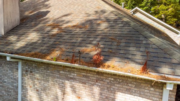 Gutter Pine Needle Removal in Carson City