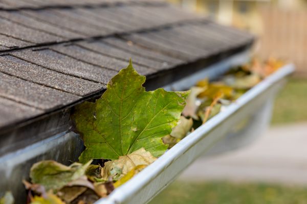 Gutter Leaves Removal in Carson City